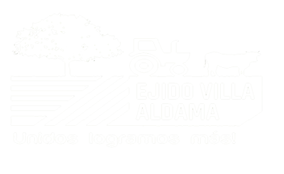 Ejido