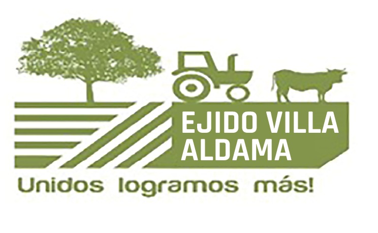 Ejido